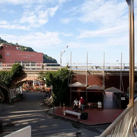 酒店 花园酒店 3*